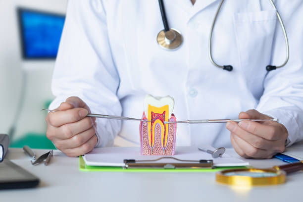 Best Weekend Emergency Dentist in Navarre, OH